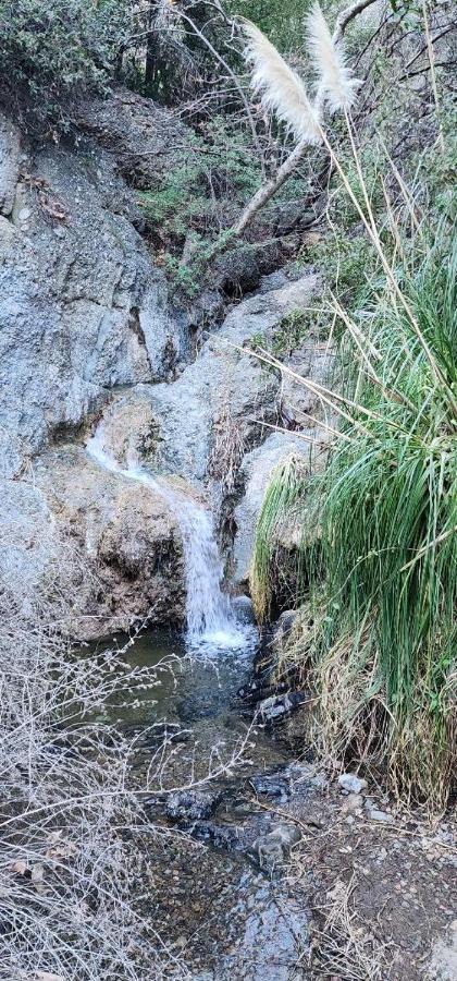 Heaven'S Best Kept Secret 4 Min From The Sea Los Angeles Exterior foto